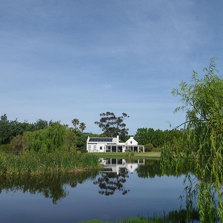 Sanddrif Stellenbosch Guest Farm 外观 照片