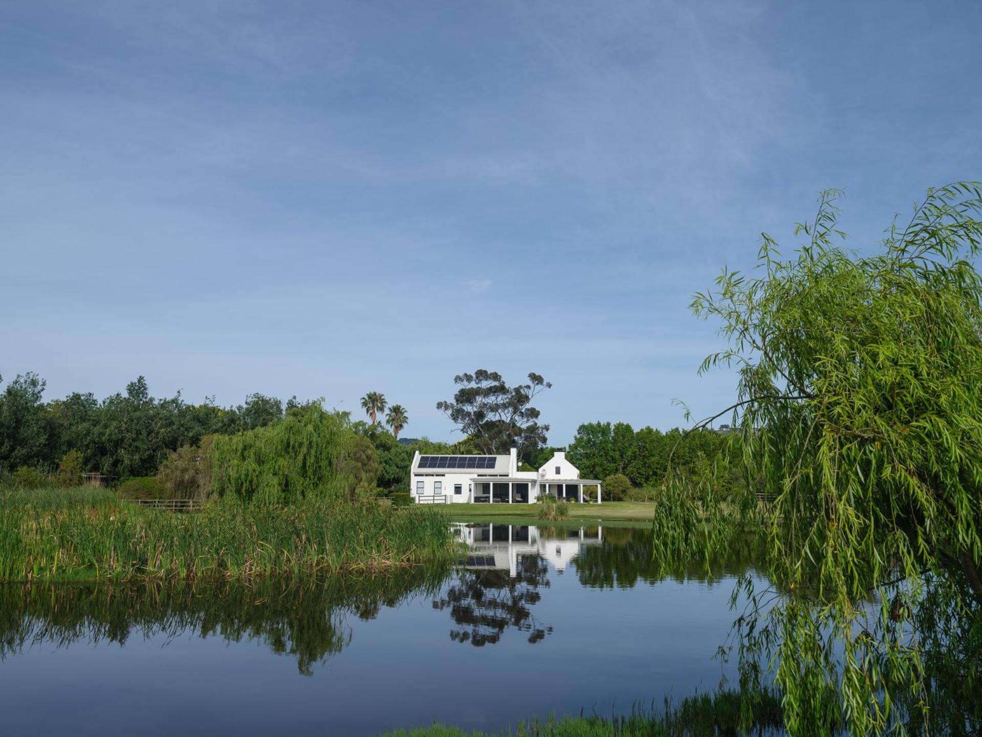 Sanddrif Stellenbosch Guest Farm 外观 照片
