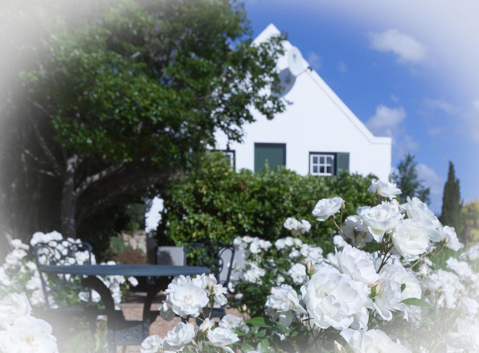 Sanddrif Stellenbosch Guest Farm 外观 照片