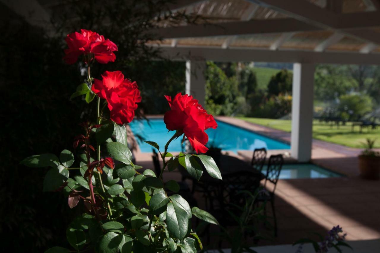 Sanddrif Stellenbosch Guest Farm 外观 照片